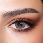 eye lens price