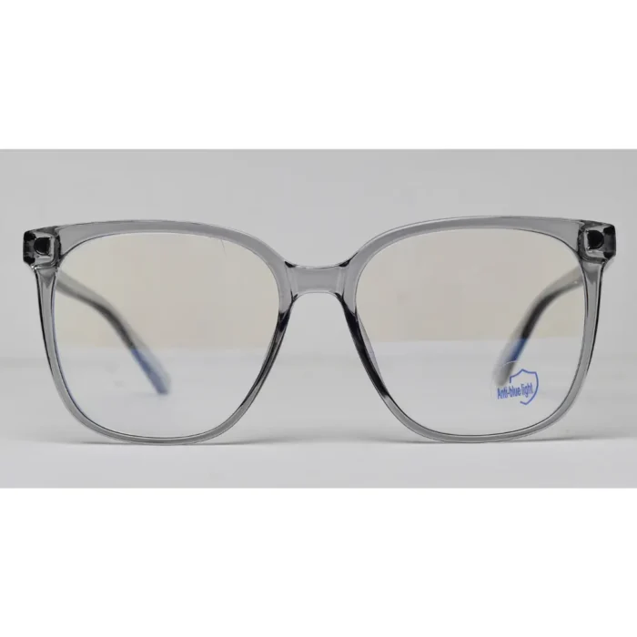 large frame glasses 2